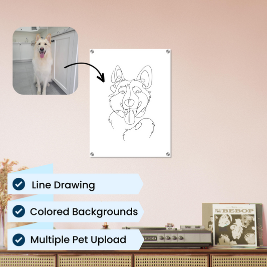 Line Drawing Acrylic Print