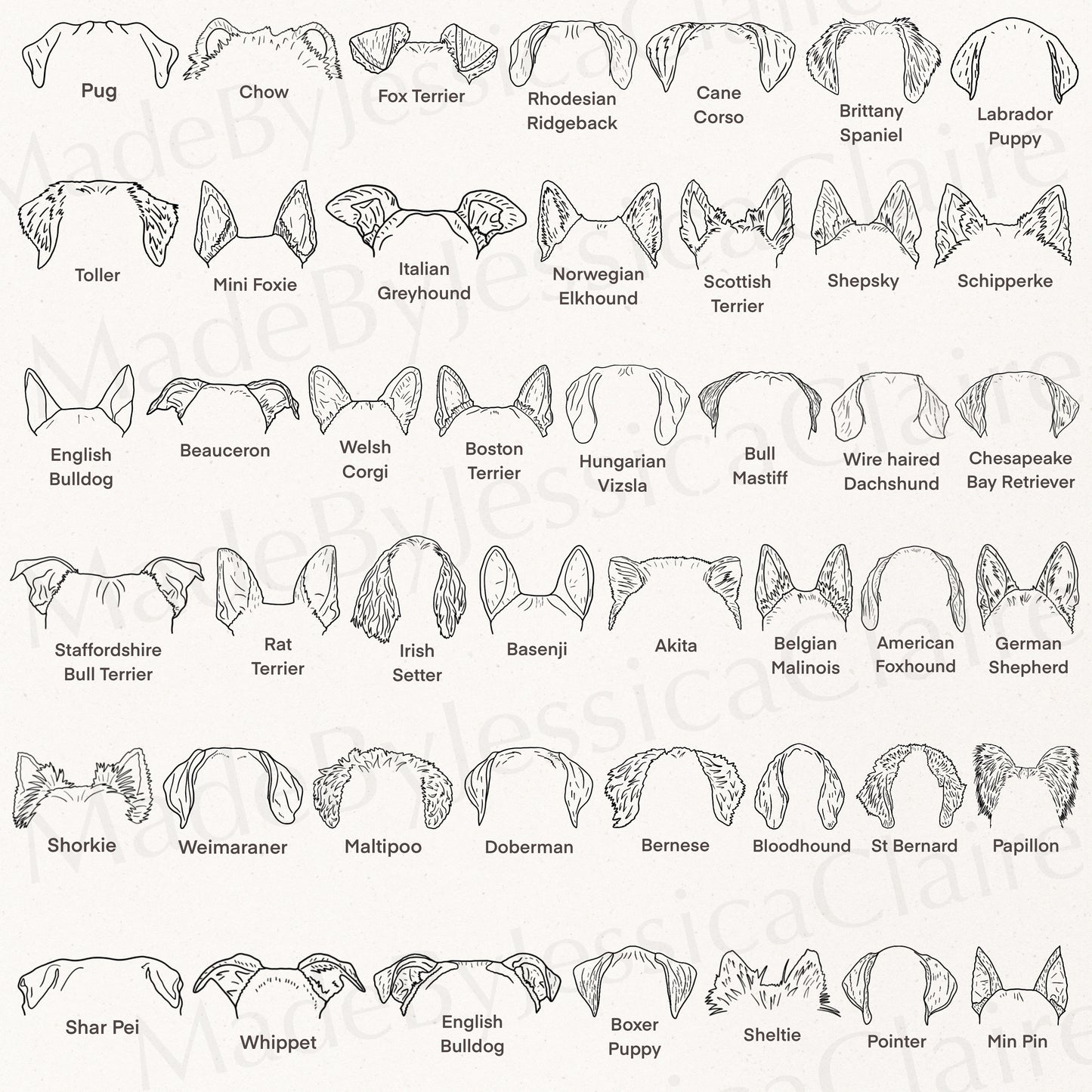 Dog Ear Drawings