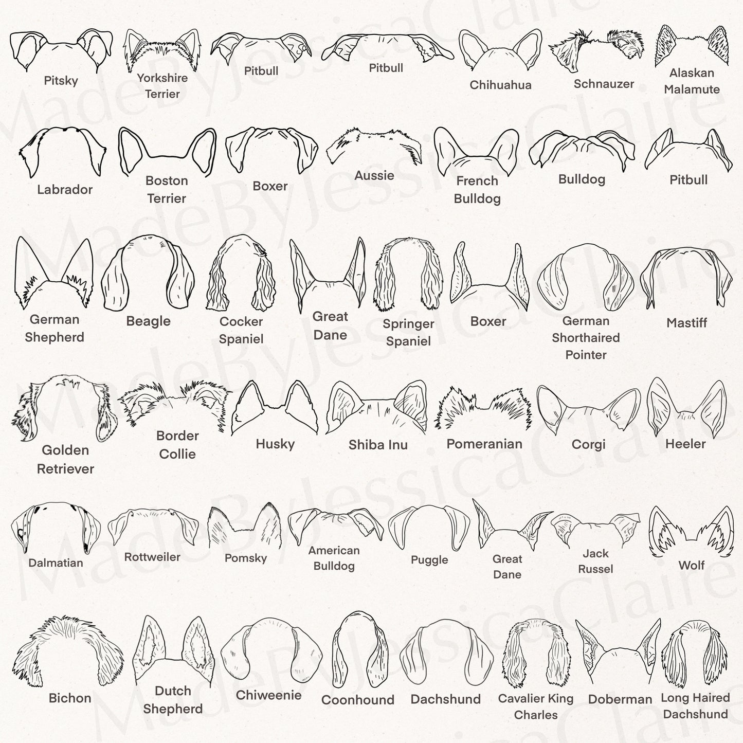 Dog Ear Drawings